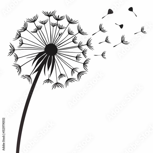 Black and white dandelion seeds blowing in the wind