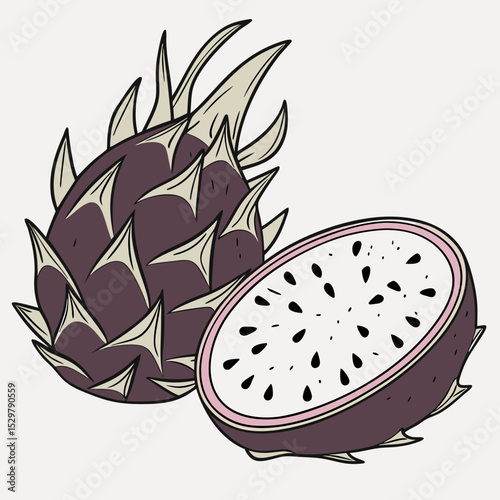 Dragon fruit illustration whole and sliced exotic tropical fruit