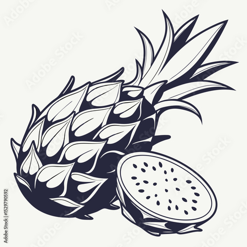 Stylized pineapple and dragon fruit illustration tropical fruit design