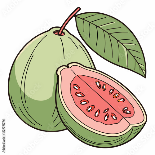 Fresh guava fruit with leaf illustration clipart