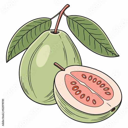 Fresh guava fruit with leaves whole and sliced