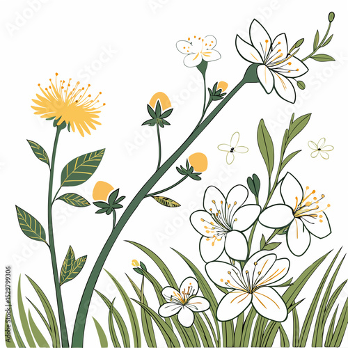 Elegant floral design element white flowers yellow dandelion green leaves transparent background