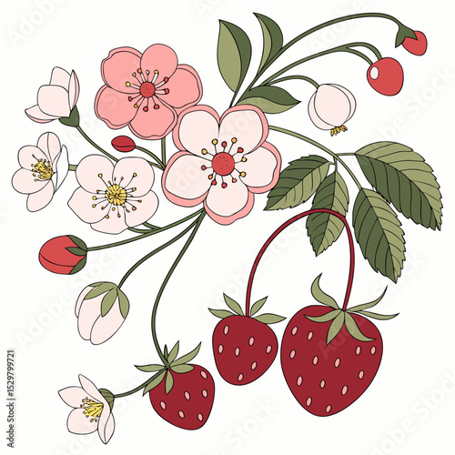 Delicate spring blossoms and ripe strawberries artistic illustration