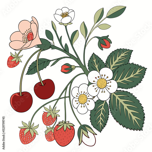 Summer berries and blossoms delicate floral illustration