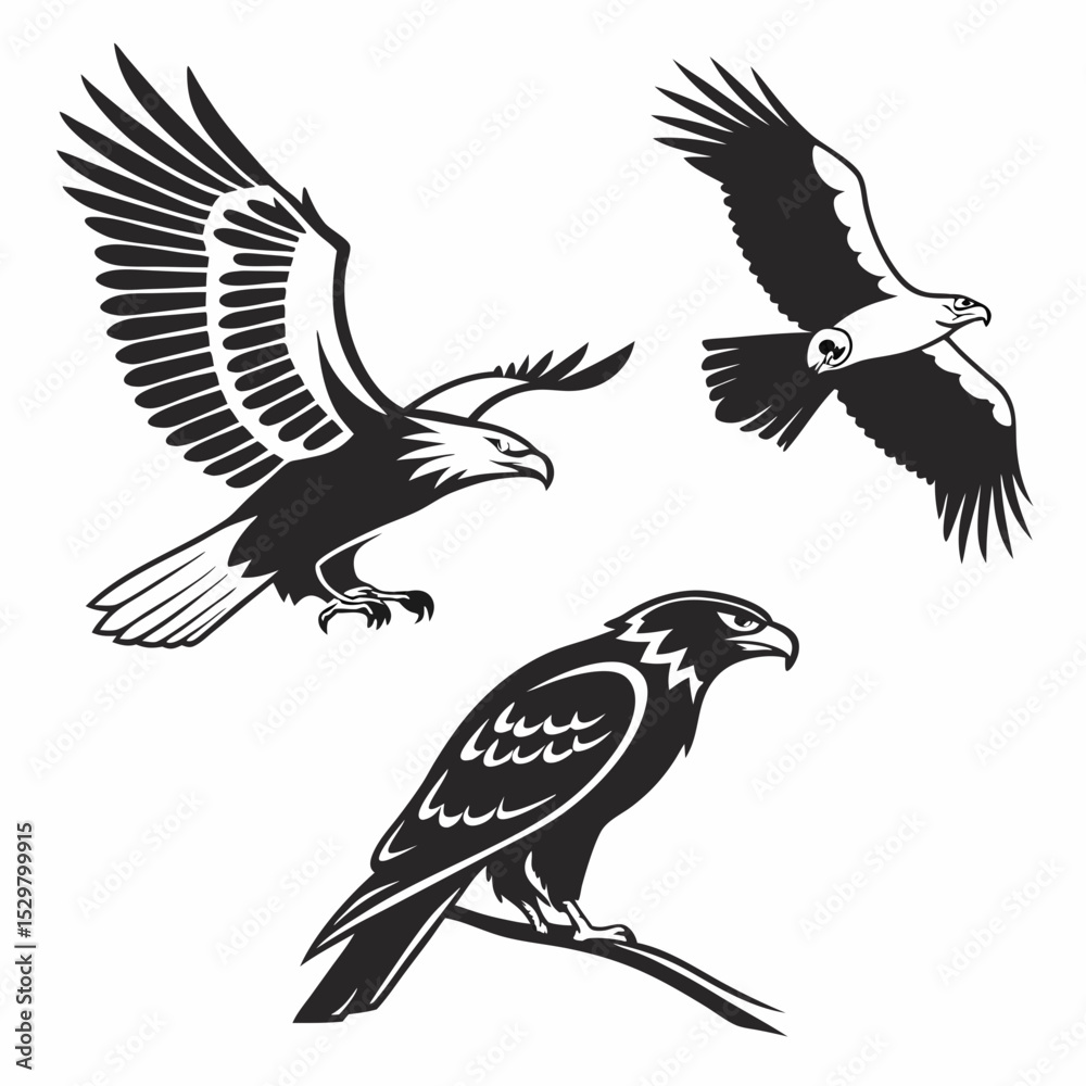 Fototapeta premium Three majestic eagles in flight and perched powerful birds of prey black and white vector illustration