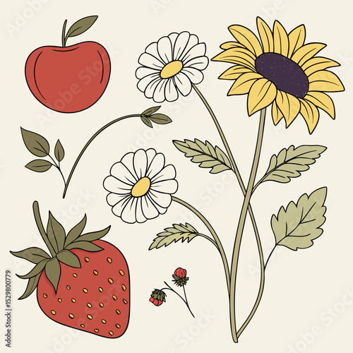 Summer harvest illustration featuring apple strawberry sunflower daisies