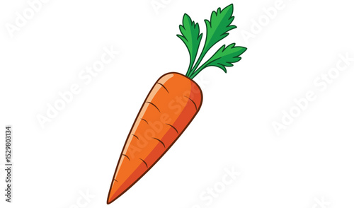 Single fresh orange carrot with green tops