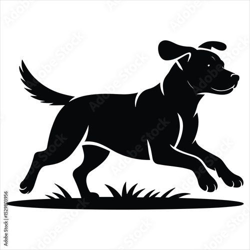 a medium-sized dog running energetically on flat ground side profile view with all four legs visible in motion