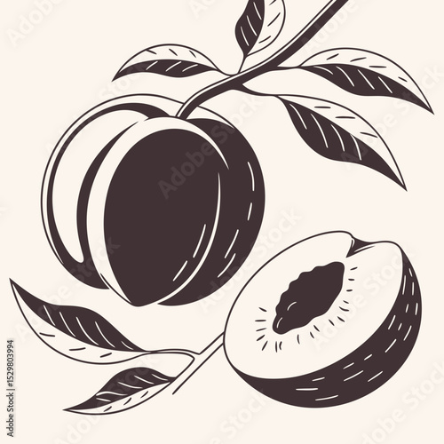 Fresh peach fruit illustration with leaves branch
