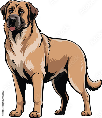 Anatolian Shepherd Dog