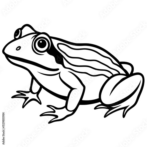 Minimal Bullfrog Vector on White