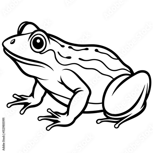 Minimal Bullfrog Vector on White