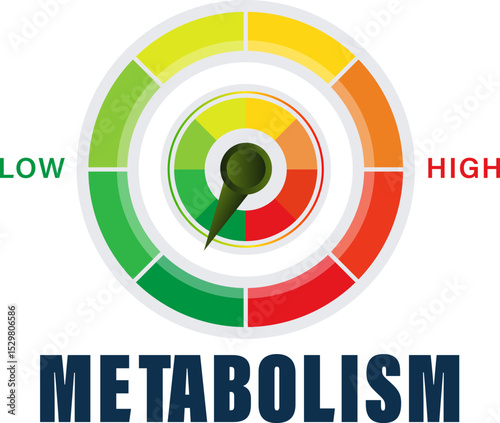 Metabolic Rate Measurement Concept with a Vivid Metabolism Meter Indicating Levels from Low to High vector