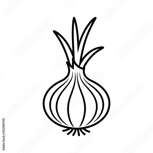 Simple line drawing of an onion vegetable