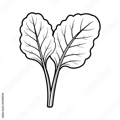 Line art illustration of two beet leaves