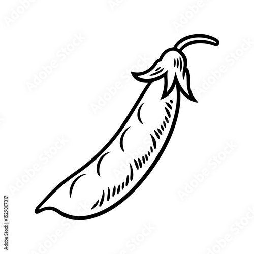 Single fresh pea pod line art illustration
