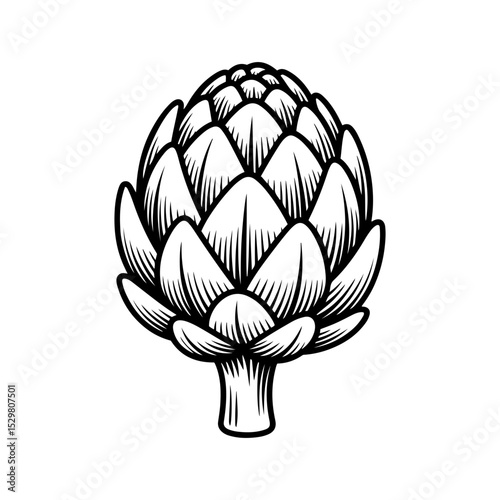 Black and white artichoke illustration vintage style