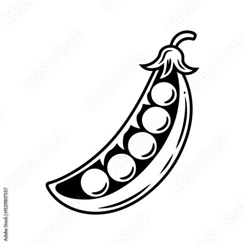 Black and white illustration of a pea pod with peas