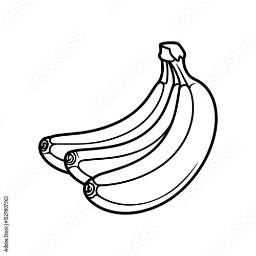 Line art illustration of a bunch of bananas
