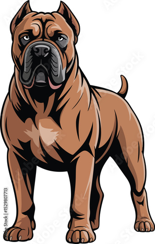 Cute Cane Corso Dog Vector