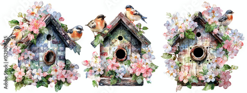 Vintage Watercolor Birdhouses with Spring Blossoms A Trio of Charming Designs