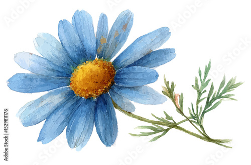 Watercolor Blue Chamomile Daisy Flower Illustration
