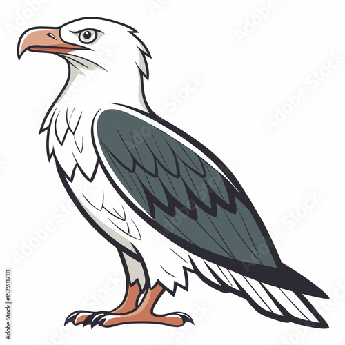Majestic white-tailed eagle bird of prey illustration