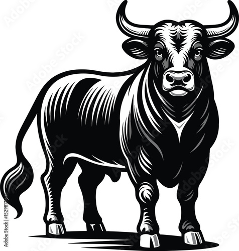 vector illustration of a bull