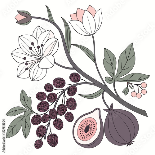 Elegant floral branch with figs berries and flowers botanical illustration