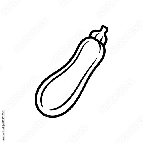 Line art illustration of a single zucchini