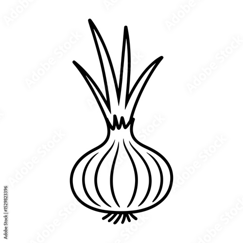 Line art drawing of a single onion with green tops