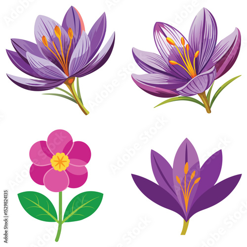 A versatile vector set of pink and white lotus flowers ideal for floral nature design illustrations