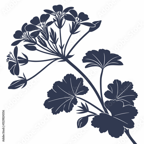 perennial geranium silhouette vector