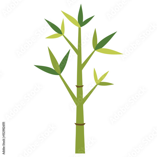 vector illustration of a green tree on white background