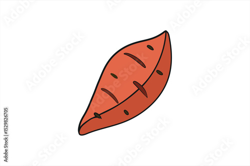 Sweet potato Color vector on white backgroun.01