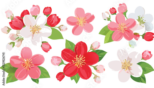 Cherry flower blossom, botanical art. Spring almond, sakura, apple tree branch, hand draw doodle vector illustration. Cute black ink art, isolated on white background. outline, tattoo, botanical,