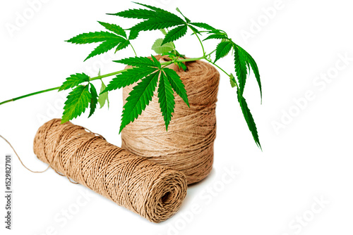 green branch hemp leaves on spools of textile fiber rope and twine on a white background isolate for concept technical culture, naturalization, legalization, ecology cannabis
