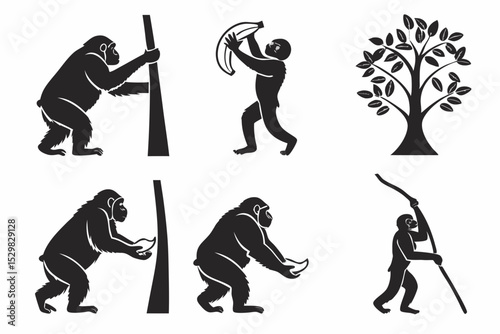 vector illustration of a set of golf