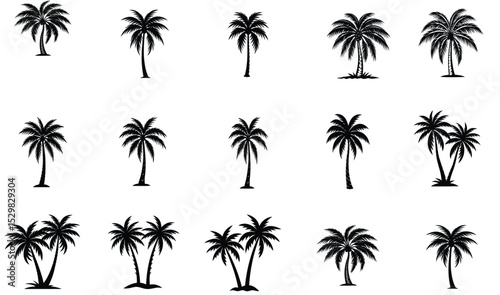 Set of Palm Tree Silhouette Vector Illustration