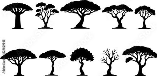 Tree  Vector Silhouettes  Bundle Collection