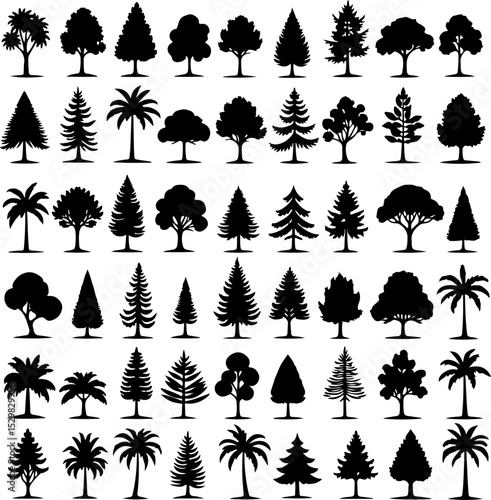Tree  Vector Silhouettes  Bundle Collection