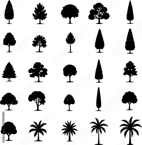 Tree  Vector Silhouettes  Bundle Collection