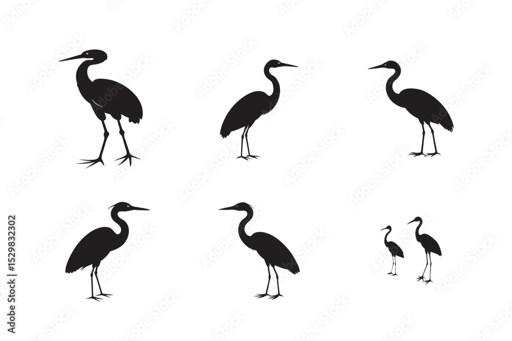 Obraz premium heron silhouette vector art