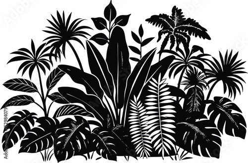 Tropical leaves silhouette - botanical Illustration of lush foliage, vector illustration of various tropical leaves in black silhouette, perfect for nature, jungle. Bold, lush plant graphics, 
