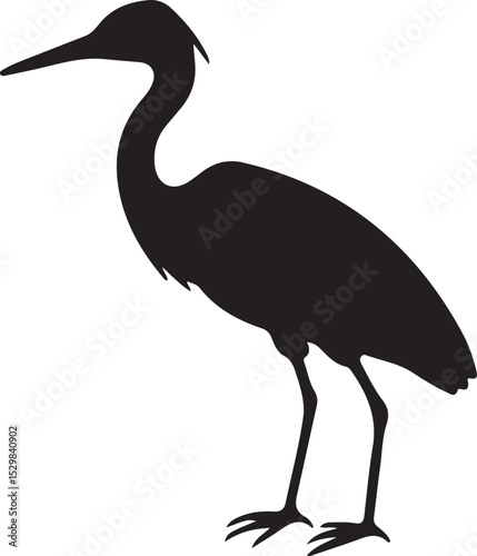 heron on the beach