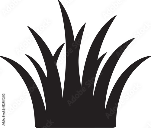 vector illustration of aloe vera