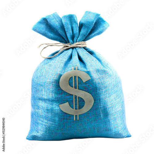 A vibrant blue money bag with a dollar sign.