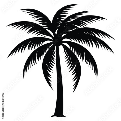 coconut palm tree (1).eps
