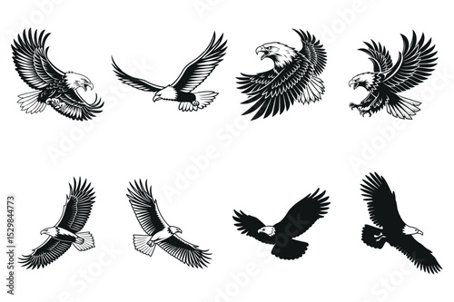 Powerful Eagle Designs for Tattoos, Logos, and More