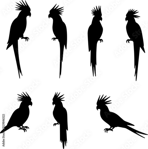 Cockatoo Vector  Silhouettes Bundle